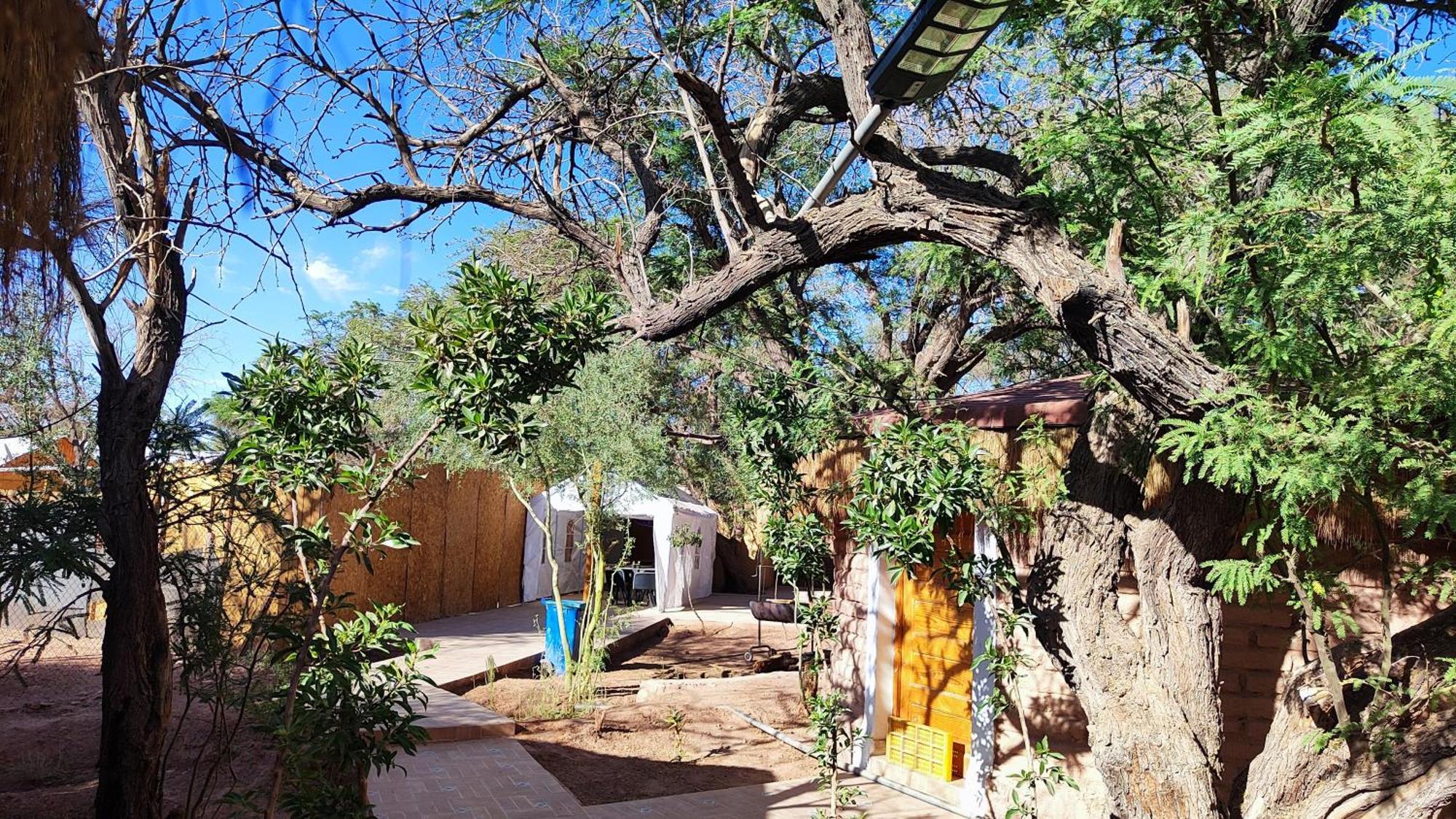 Lasana Habitaciones San Pedro de Atacama Dış mekan fotoğraf