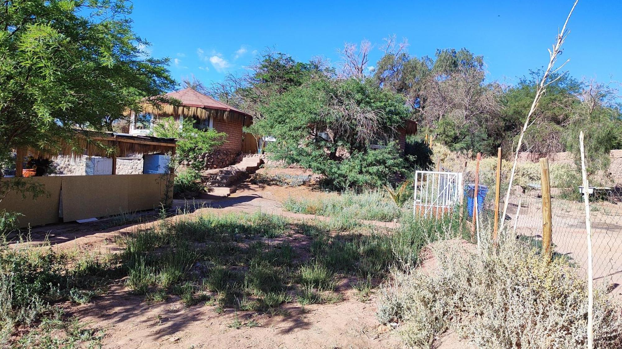 Lasana Habitaciones San Pedro de Atacama Dış mekan fotoğraf